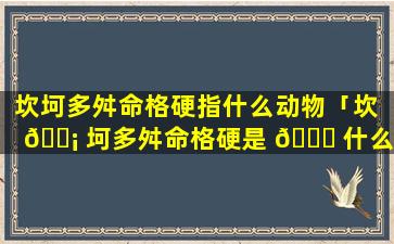 坎坷多舛命格硬指什么动物「坎 🐡 坷多舛命格硬是 🍀 什么动物」